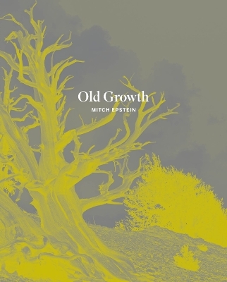 Old Growth - Mitch Epstein