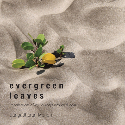 Evergreen Leaves - Gangadharan Menon