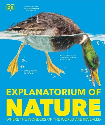 Explanatorium of Nature -  Dk
