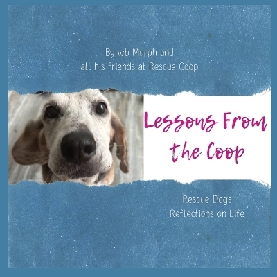 Lessons from the Coop - Wb Murph