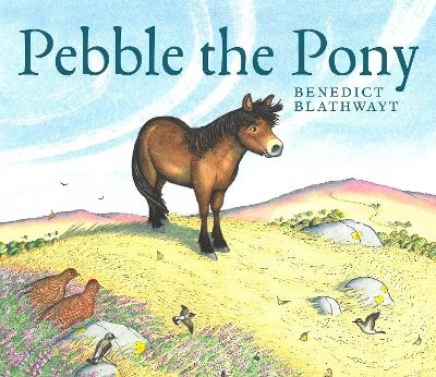 Pebble the Pony - Benedict Blathwayt