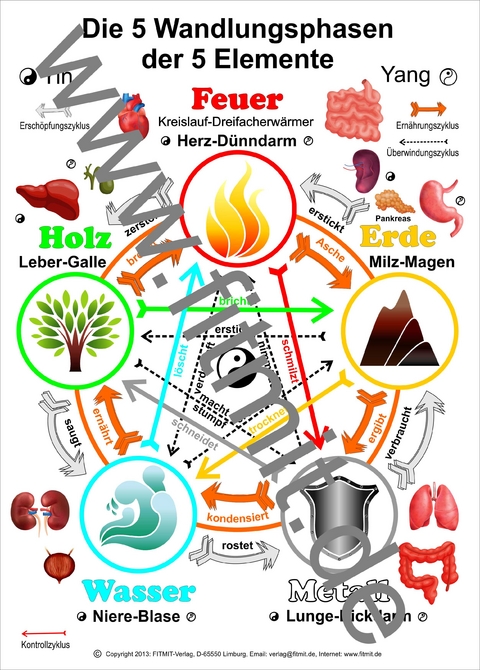 Die 5 Wandlungsphasen der 5 Elemente - Tanja Aeckersberg