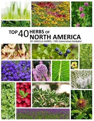 Top 40 Herbs of North America - Angela Harris