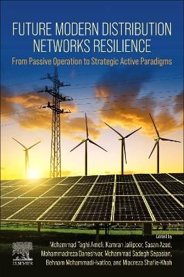 Future Modern Distribution Networks Resilience - 