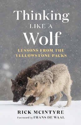 Thinking Like a Wolf - Rick McIntyre