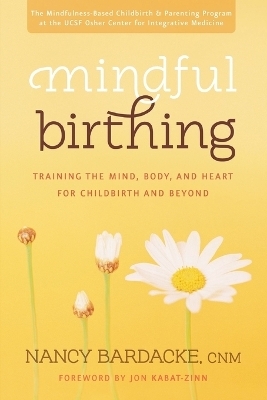 Mindful Birthing - Nancy Bardacke