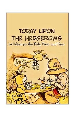 Today Upon the Hedgerows Graphic Novel - Sol Nte