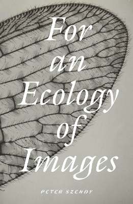 For an Ecology of Images - Peter Szendy