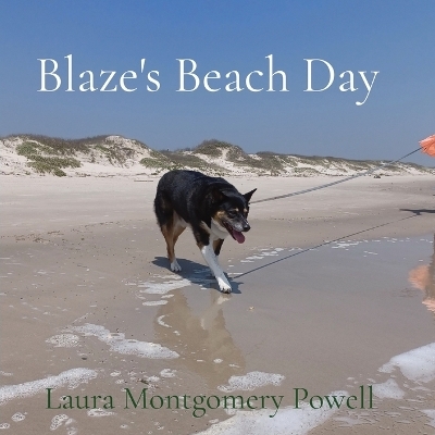 Blaze's Beach Day - Laura Montgomery Powell