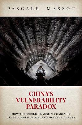 China's Vulnerability Paradox - Pascale Massot