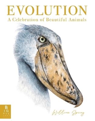 Evolution: A Celebration of Beautiful Animals - William Spring