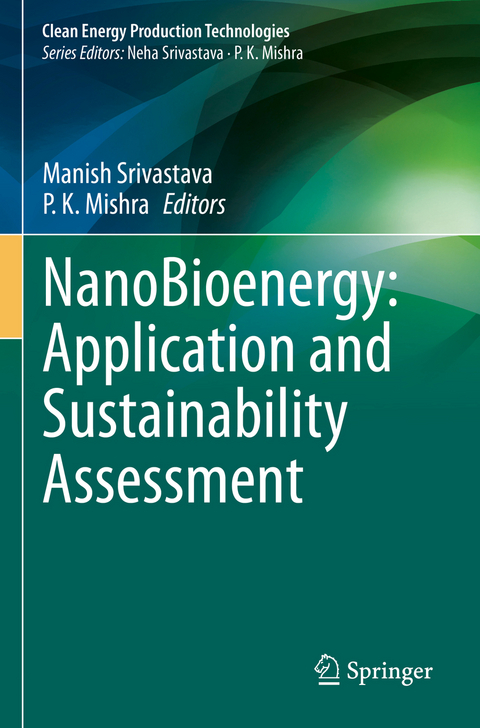 NanoBioenergy: Application and Sustainability Assessment - 