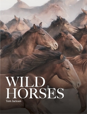 Wild Horses - Tom Jackson
