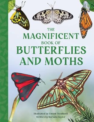 The Magnificent Book of Butterflies and Moths - Barbara Taylor