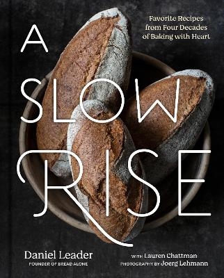 A Slow Rise - Daniel Leader