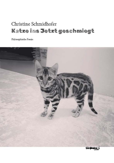 Katze ins Jetzt geschmiegt - Christine Schmidhofer