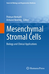 Mesenchymal Stromal Cells - 
