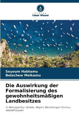 Die Auswirkung der Formalisierung des gewohnheitsmäßigen Landbesitzes - Seyoum Habtamu, Belachew Melkamu