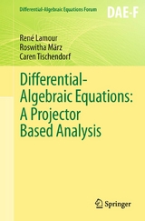 Differential-Algebraic Equations: A Projector Based Analysis - René Lamour, Roswitha März, Caren Tischendorf