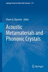 Acoustic Metamaterials and Phononic Crystals -  Pierre A. Deymier