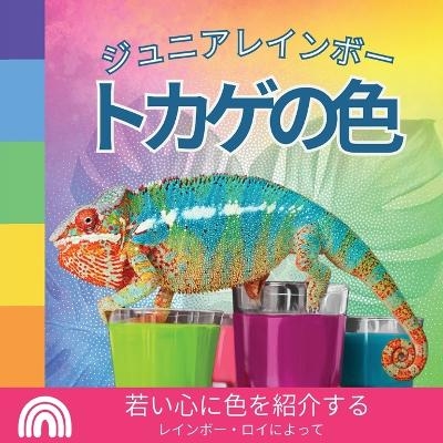 ジュニアレインボー, トカゲの色 - Rainbow Roy