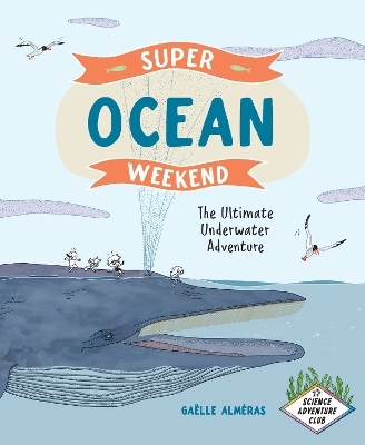 Super Ocean Weekend - Galle Almras