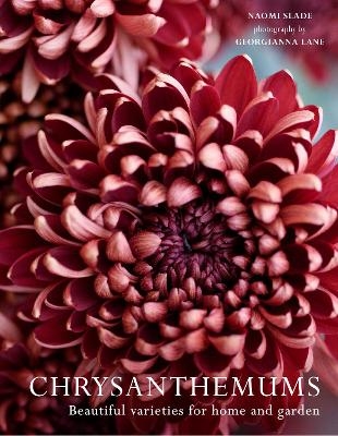 Chrysanthemums - Naomi Slade, Georgianna Lane