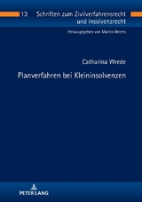 Planverfahren bei Kleininsolvenzen - Catharina Wrede