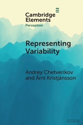 Representing Variability - Andrey Chetverikov, Árni Kristjánsson