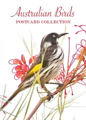 Australian Birds Postcard Collection