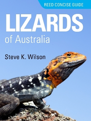 Reed Concise Guide Lizards of Australia - Steve K Wilson