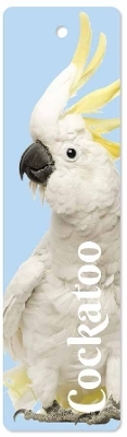 Cockatoo