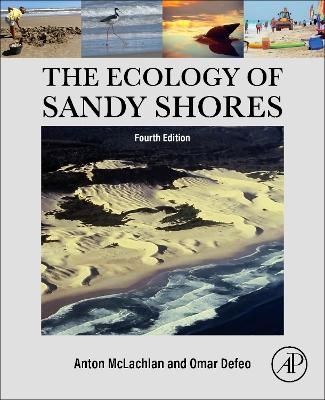 The Ecology of Sandy Shores - Omar Defeo, Anton McLachlan