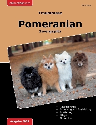 Traumrasse Pomeranian - Marie Meyer