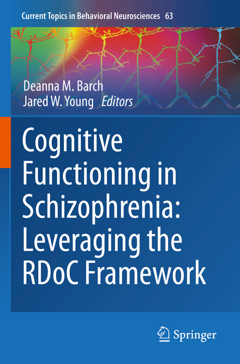 Cognitive Functioning in Schizophrenia: Leveraging the RDoC Framework - 