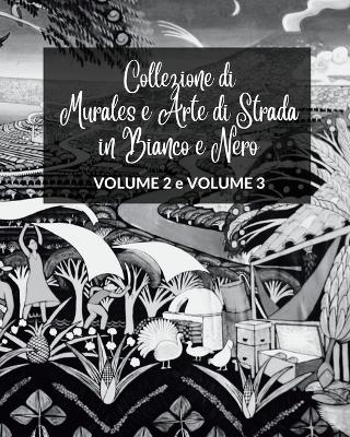 Collezione di Murales e Arte di Strada in Bianco e Nero - Volumi 2 e 3 - Frankie The Sign