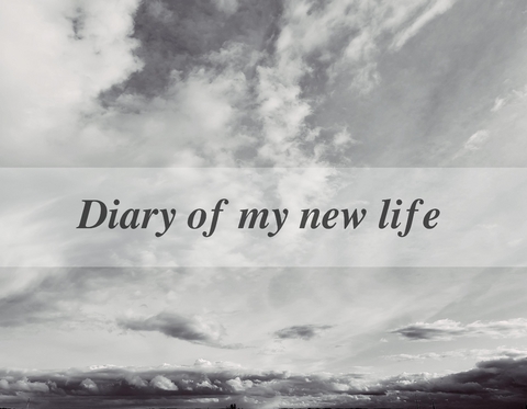 Diary of my new life - Julia Bittner