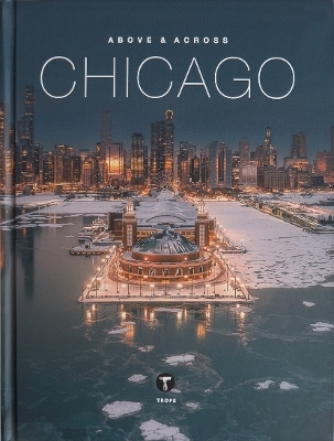 Above and Across Chicago - 