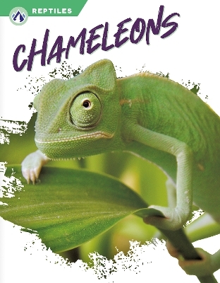 Reptiles: Chameleons - Megan Gendell