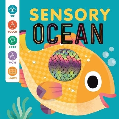 Sensory Ocean -  Igloobooks, Rose Harkness