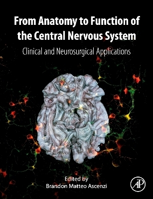 From Anatomy to Function of the Central Nervous System - 