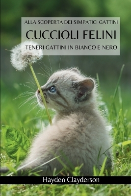 Cuccioli Felini- Teneri Gattini in Bianco e Nero - Hayden Clayderson
