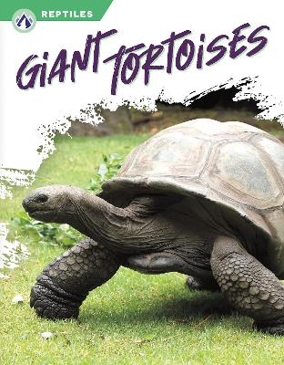 Giant Tortoises - Megan Gendell