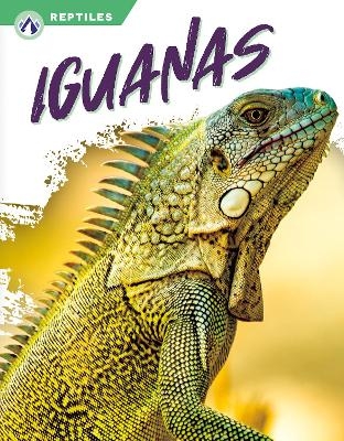 Reptiles: Iguanas - Shannon Jade
