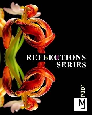 Reflections + Series by Joachim Mantel - Joachim Mantel