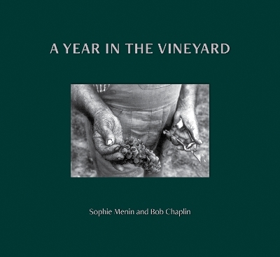 A Year in the Vineyard - Sophie Menin, Bob Chaplin