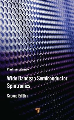 Wide Bandgap Semiconductor Spintronics - Vladimir Litvinov