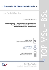Modellierung und techno-ökonomische Analyse einer plasmabasierten Herstellung von Ammoniak - Jeannine Rechtsteiner