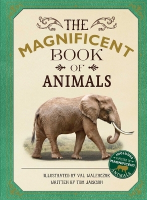 The Magnificent Book of Animals - Tom Jackson