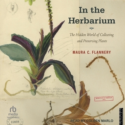 In the Herbarium - Maura C Flannery
